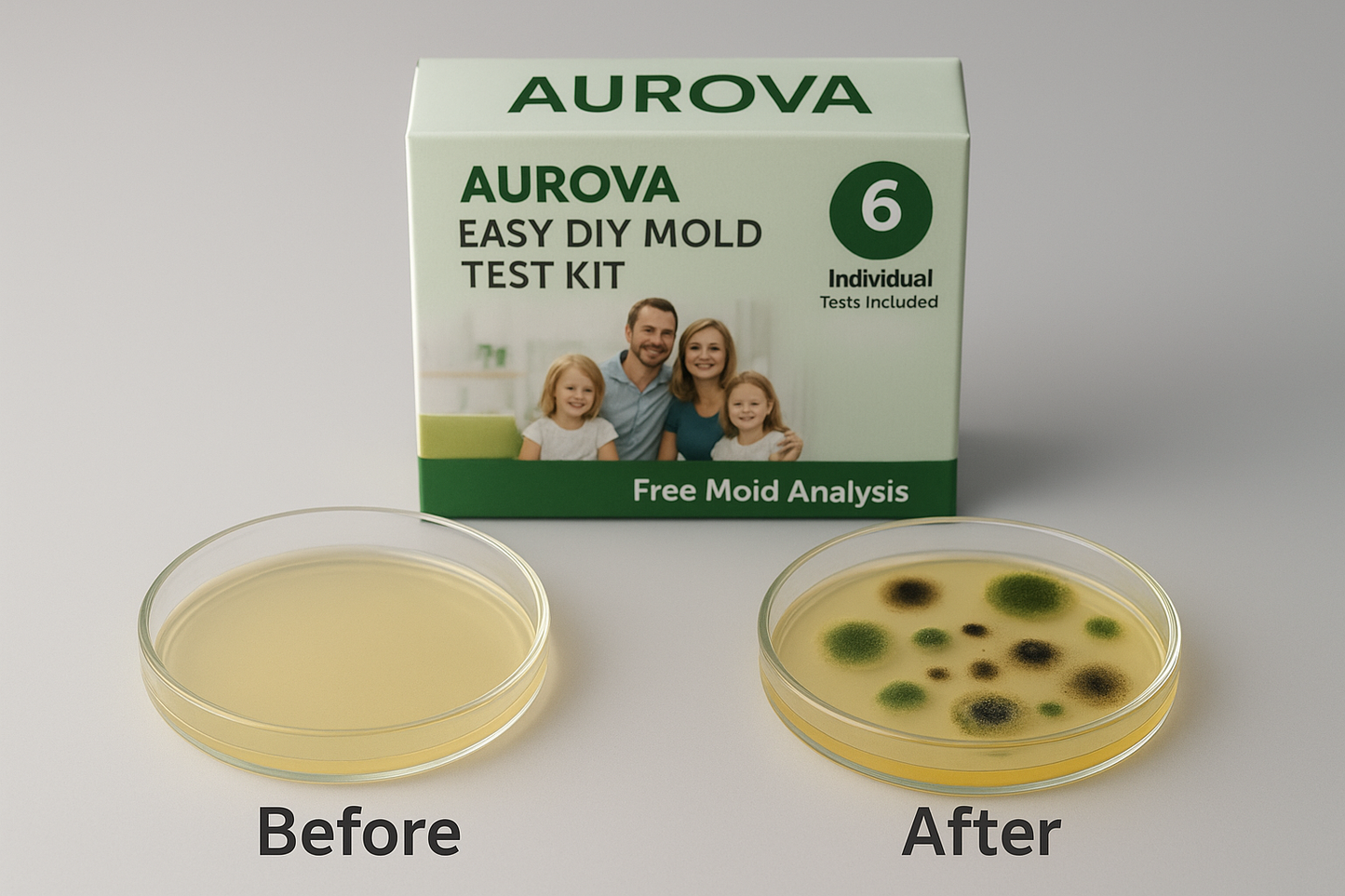 Mold Testing Kit- 6 simple mold detection tests, tests bathrooms, basements, surfaces, and more.